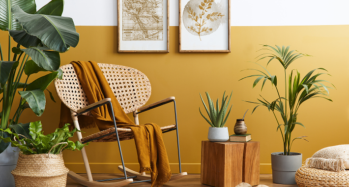 Đa Dạng Mẫu Mã