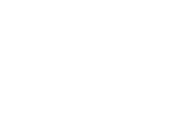 SpeeGo Logistics - Đơn vị sản xuất và cung cấp dịch vụ logistics toàn cầu 