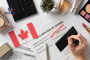 Import cosmetics to Canada