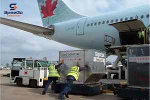 how-to-export-to-canada-from-vietnam