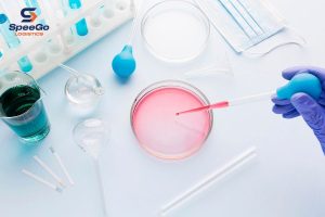 import cosmetics Australia