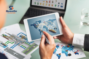 Import Export Consultant