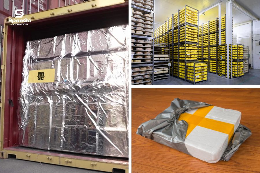Key Components of Cold Chain Management
